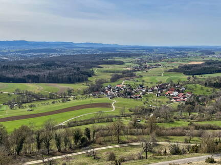 25-03-21 12-15-04 2480